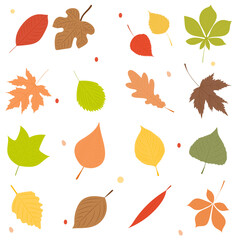 autumn leaves silhouette set isolated, vector