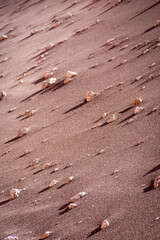 rocks in the desert