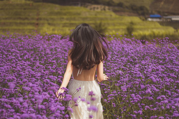 Fototapeta na wymiar woman in lavender field