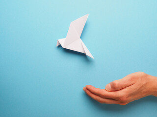 Open hand with an origami peace dove on a blue paper background, freedom or world peace concept
