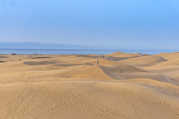 Small person in the sand dunes on a summer day