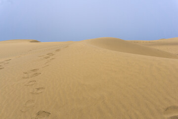 Dunes in the desert of Maspalomas