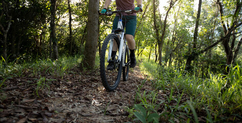 Fototapeta na wymiar Mountain biking in summer forest