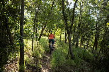 Mountain biking in summer forest