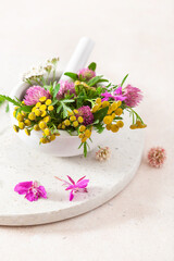Obraz na płótnie Canvas medical flowers herbs in mortar. clover milfoil tansy rosebay. healthy natural lifestyle