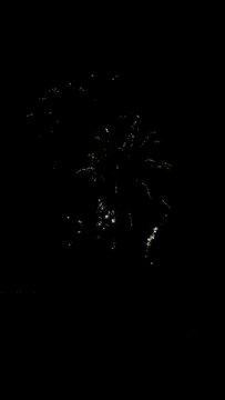 Fuegos artificiales