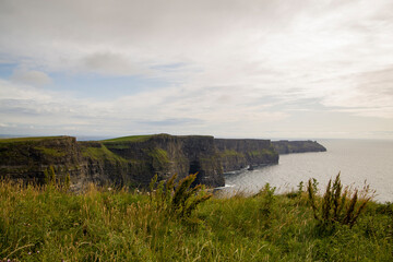Cliffs of Moher