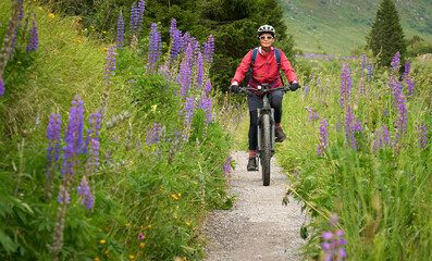 nice senior woman riding her electric mountain bike between blooming lupins in a mountain meadow in the silvretta mountains, Tirol, Austria