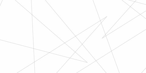 Abstract lines in black and white tone of many squares and rectangle shapes on white background. Metal grid isolated on the white background. nervures de Feuillet mortem, fond rectangle and geometric 