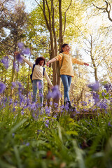 Low Angle Shot Of Two Children Walking Through Bluebell Woods In Springtime Balancing On Log