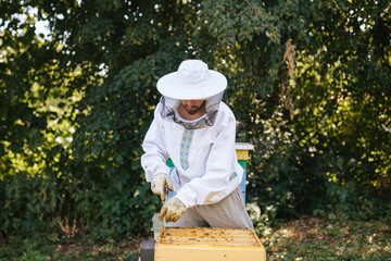 A beekeeper in a protective suit is working with bees and hives in the apiary. Beekeeping in countryside.