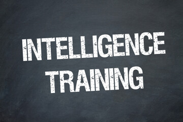Intelligence Training