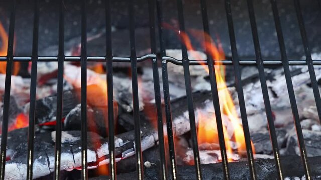 Cooking barbecue over laming ot harcoal on a metal barbecue grill