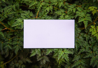 Mock up white empty paper card on the green leaves