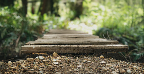Defocused wood boardwalk hiking trail in forest on a sunny day. Abstract ground level view of...