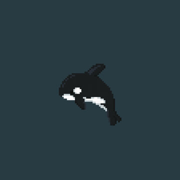 cute orca in pixel art style