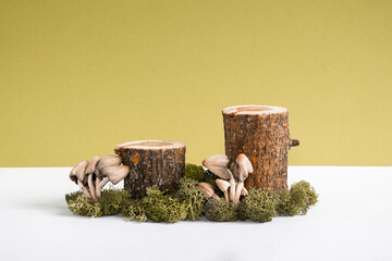 woodland decor and natural style. Wooden podiums with green moss and mushrooms. Still life for...