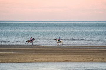 Fototapeta na wymiar Race Horses morning gallops on a sandy beach and sea