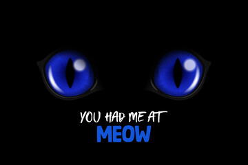 You Had Me At Meow. Vector 3d Realistic Blue Round Glowing Cats Eyes of a Black Cat. Cat Look in the Dark Black Background Closeup. Glowing Cat or Panther Eyes