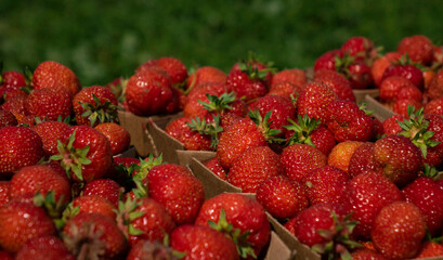 Ripe red strawberries. Strawberry background.