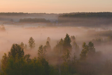 Fototapeta premium Fields and trees fog-covered lowlands in the rays of the setting sun. soft light, glare. View from the height
