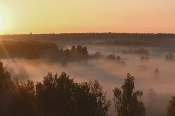 Obraz premium Fields and trees fog-covered lowlands in the rays of the setting sun. soft light, glare. View from the height