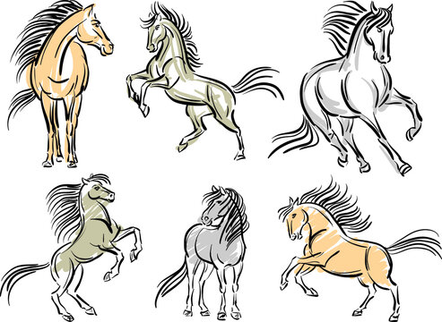 horses color brush stroke vector illustration