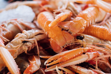 Fish market stall full of fresh Kvarner bay scampi (&scaron;kampi) on Croatia island Mali Lo&scaron;inj