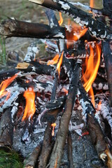 fire in the garden