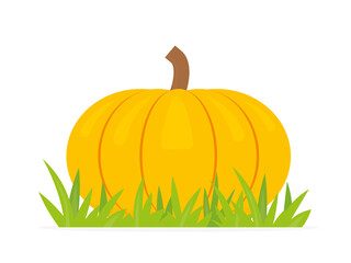 autumn pumpkin in the grass- vector illustration