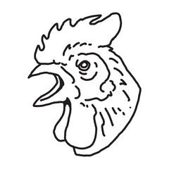rooster head illustration