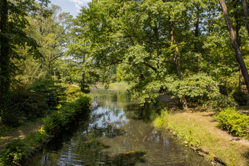 Fototapeta na wymiar Wrocław park and river legs