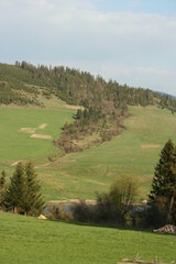 golf course in the morning