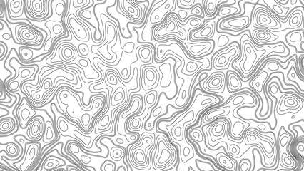 Obraz premium White wave paper curved reliefs abstract background, Abstract topographic contours map background. Geographic mountain relief. Abstract lines background. Contour maps. Business concept.