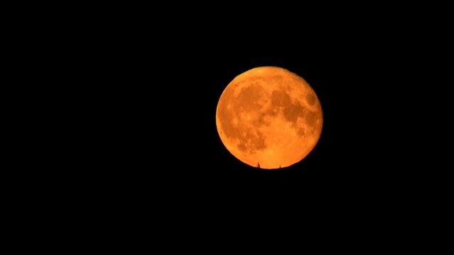 Large yellow moon taken at a close approximation during the period of the full moon and the maximum approach to the Earth.