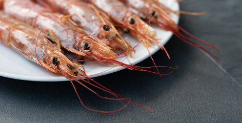 Close up of five giant prawns, in a white plate, on a slate table..Tasty food from italian cuisine and mediterranean sea. Concept for a tasty and healthy meal..