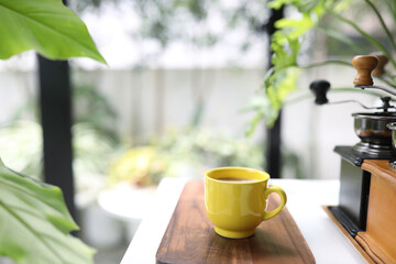 Yellow coffee cup and notebook and plant pot