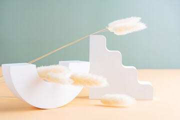 Set of gypsum and clay geometrical shapes - arc and ladder on double pastel background. Trendy poster for design or showcase for product presentation with lagurus plant