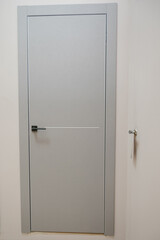 Modern wooden gray door with metal door handle