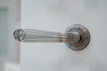 Door knob. Door handle in stainless steel.