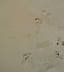 tiny footprint in sand