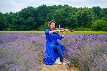 Full body adult woman violinist playing violin and sitting on summer lavender field, romantic...