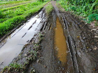 puddles on the road damaged by rain and crossed by heavy cars