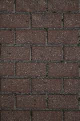 Rough textured surface of red rectangular paving slabs, top view