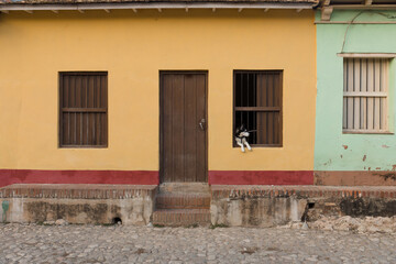dog looking out of a window trinidad, cuba