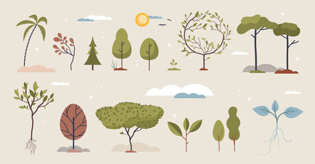 Trees set with various growing plants and elements tiny person collection. Botany items with different rainforest, jungle and woods vegetation types vector illustration. Maple, birch and palms leaves.