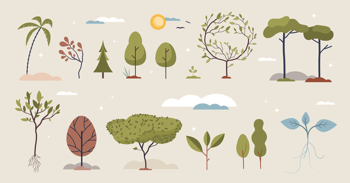 Trees Set With Various Growing Plants And Elements Tiny Person Collection. Botany Items With Different Rainforest, Jungle And Woods Vegetation Types Vector Illustration. Maple, Birch And Palms Leaves.