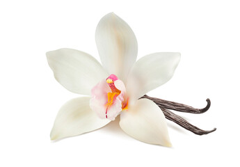 Fototapeta na wymiar Vanilla flower and bean for flavored drinks isolated on white background.