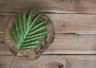 green leaves on wooden background