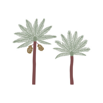 Vector color handdrawn illustration with Date Palm trees. Isolated on white background